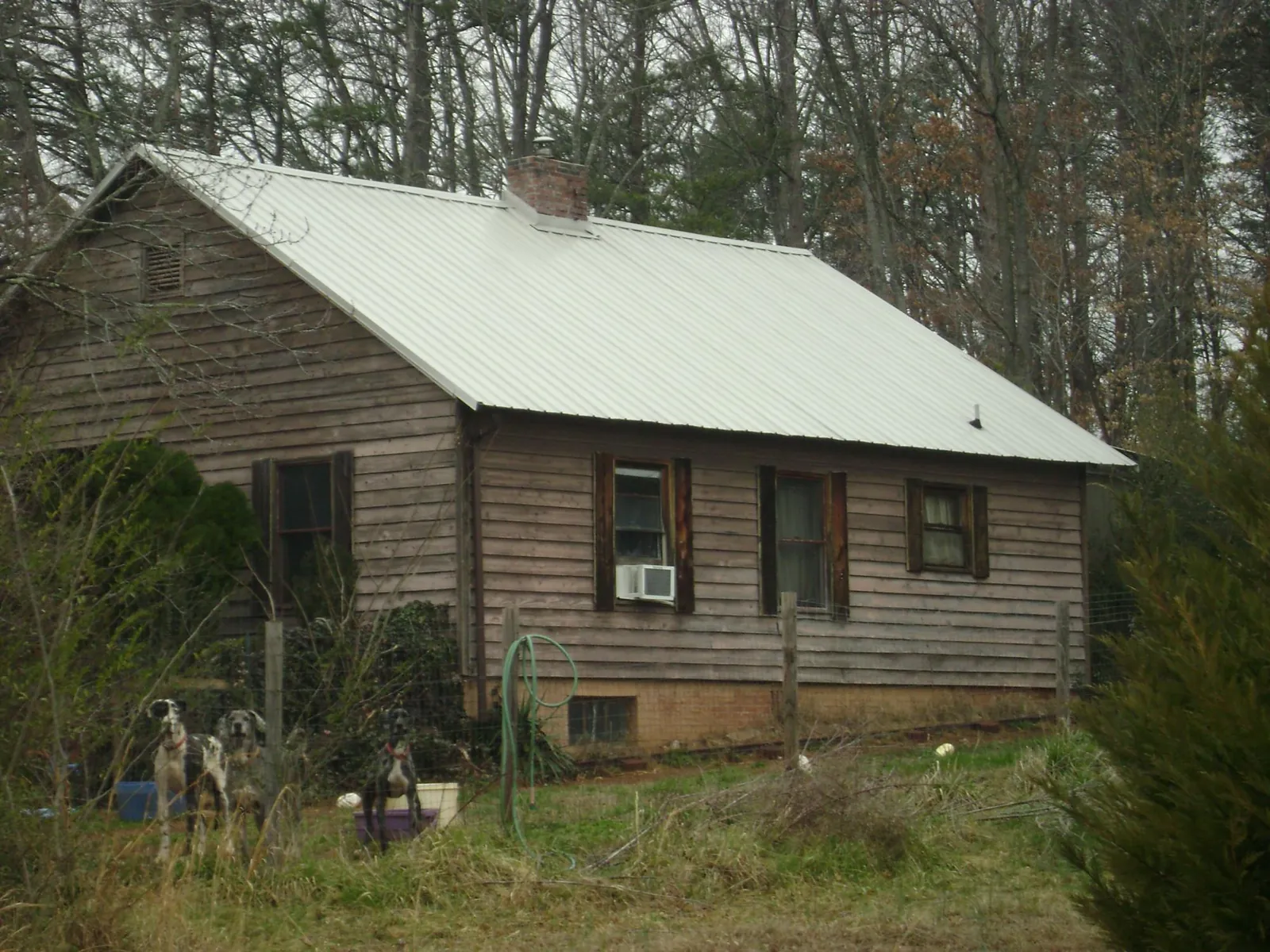 White metal roof on an old wood sided farmhouse, from a Asphalt Shingle Roof Repair job in Pierpont